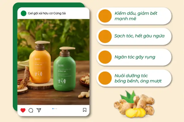 Dầu Gội Hữu Cơ Nào Tốt? Gợi Ý Cho Gia Đình Việt