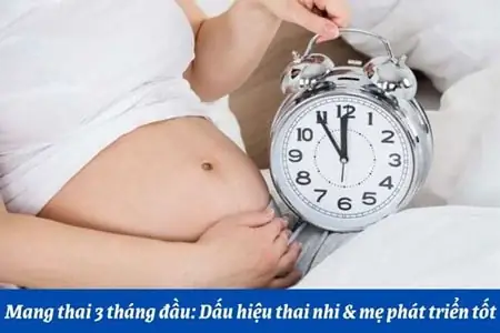 Dáº¥u hiá»u thai phÃ¡t triá»n tá»t 3 thÃ¡ng Äáº§u