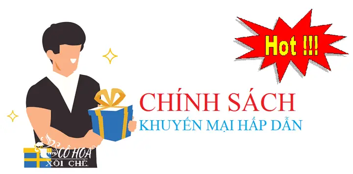 6.3.Chính sách khuyến mãi.