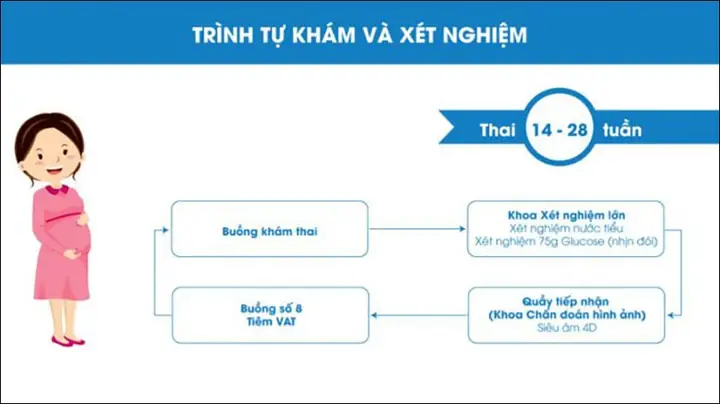 7Trình tự khám thai và xét nghiệm tại bệnh viện