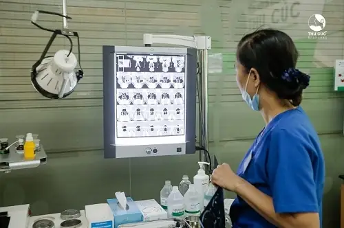 Địa chỉ chữa viêm xoang tại Hà Nội tốt ở đâu?