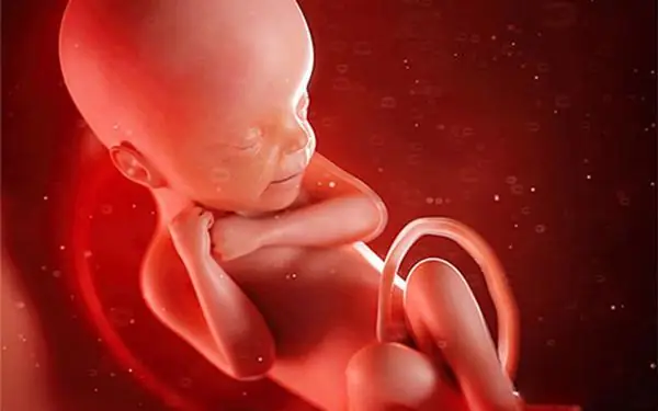 Ngay từ khi còn trong bụng mẹ, các bé đã biết làm đủ trò nghịch ngợm thế này đây. Ngay từ khi còn trong bụng mẹ, các bé đã biết làm đủ trò nghịch ngợm thế này đây.