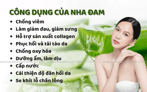 1. Gel lô hội aloe vera có tác dụng gì?