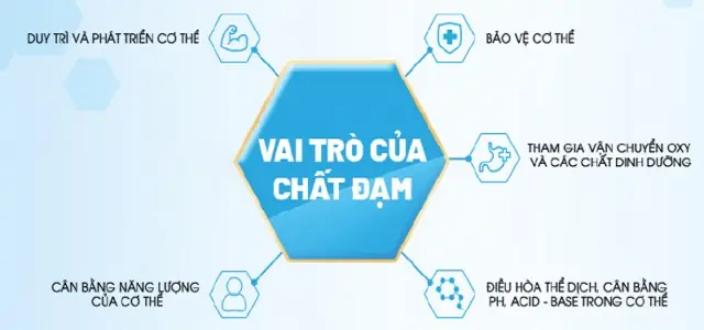 Sá»¯a bá»t pha sáºµn optimum gold há»p 110ml