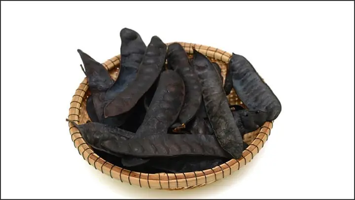 Chọn và phơi khô bồ kết