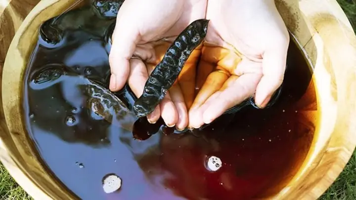 Nấu nước bồ kết