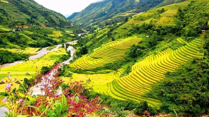 Đem lại nhiều cung bậc cảm xúc khó tả