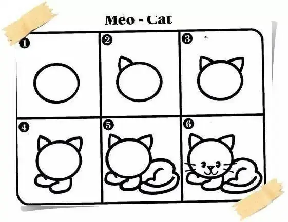 21493-1-meo-1.jpg