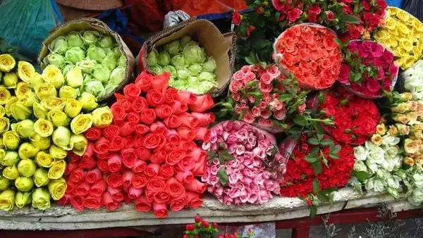 1. Chọn cành hoa tươi, mới được cắt tỉa
