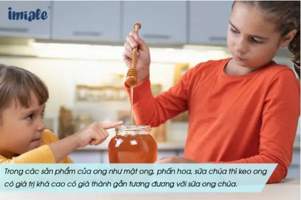 1.1. Khái niệm keo ong