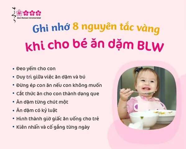 Ghi nhớ 8 nguyên tắc vàng khi cho bé ăn dặm BLW
