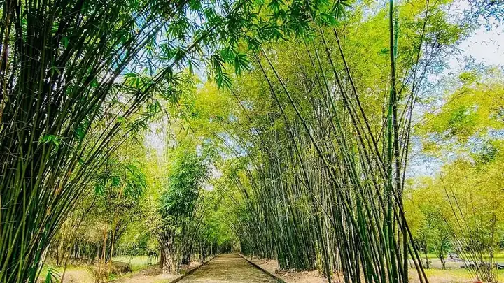 2. Khu Du Lịch Sinh Thái Làng Tre – Bình Dương