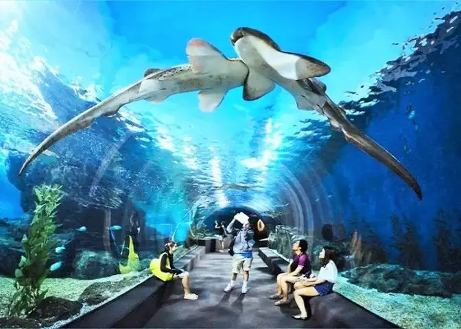 1.1. Khám phá thủy cung Times City