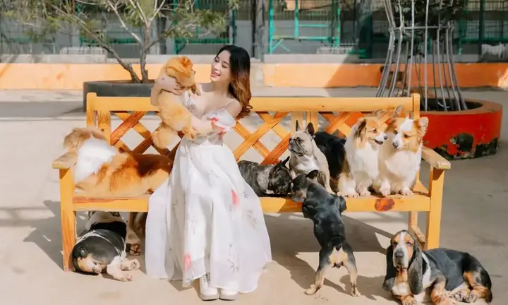 3. Nông trại Cún Puppy Farm – Thiên đường cho trẻ em và tín đồ yêu thú cưng 3. Nông trại Cún Puppy Farm – Thiên đường cho trẻ em và tín đồ yêu thú cưng