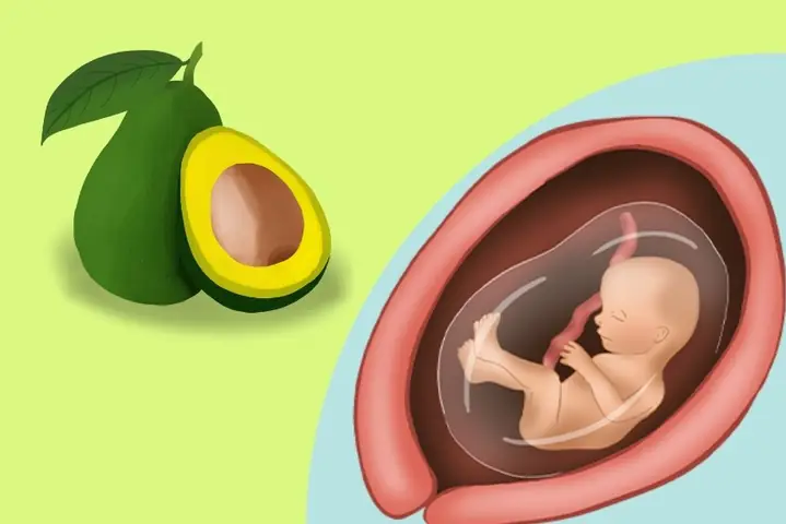1Thai nhi 17 tuần tuổi phát triển như thế nào?