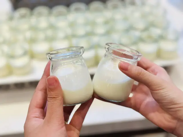 Làm sữa chua từ sữa đặc và sữa tươi
