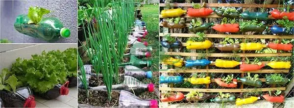 4. Một vườn rau sạch sẽ được tạo ra tư những chai nhựa