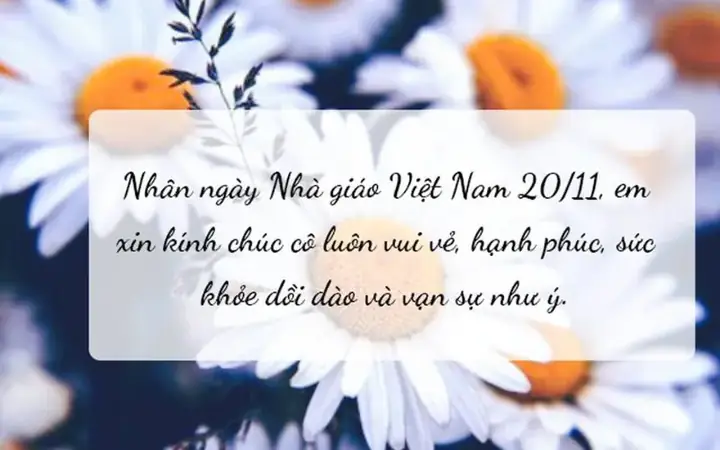2. Lời chúc cô giáo mầm non 20/11 của bố mẹ