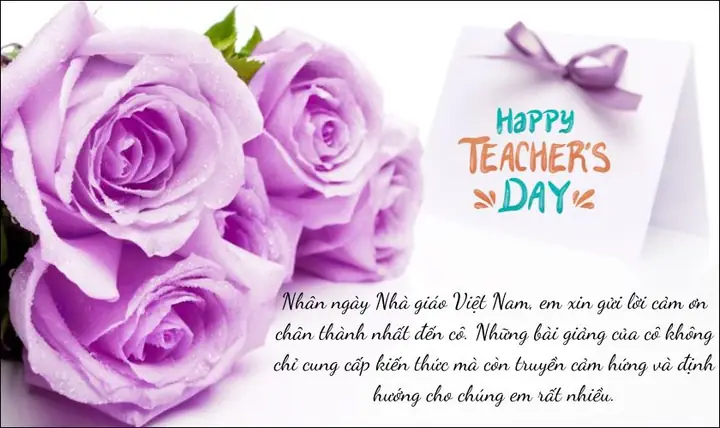Gợi ý những lời chúc 20/11 cho cô giáo Đại học