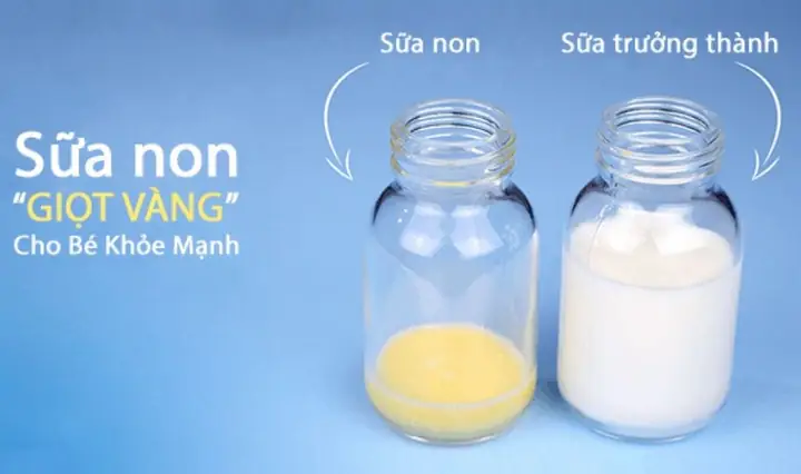 1Sữa non là gì?
