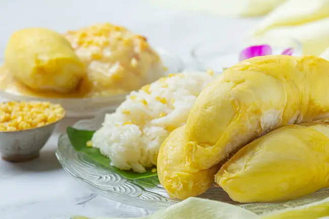 2.3. Cung cấp vitamin B