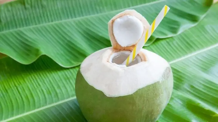 Táo bón