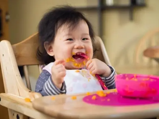 Nấu cháo óc heo với rau ngót cho bé thông minh