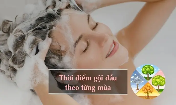 Nên gội đầu vào lúc nào theo từng mùa, thời tiết?