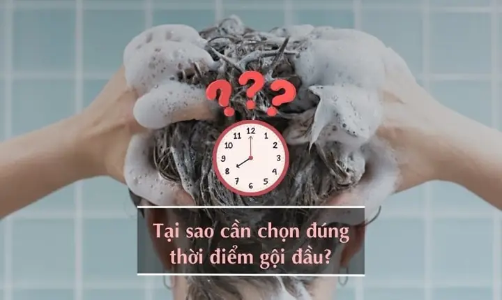 Tại sao cần chọn thời điểm gội đầu khoa học?