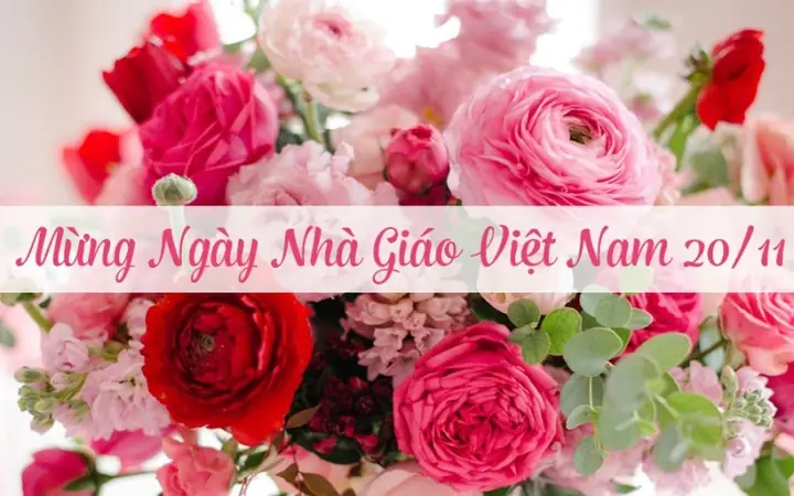 Ngày 20 11 là ngày gì? Nguồn gốc và ý nghĩa đầy đủ