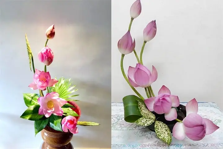 4Cách cắm hoa sen hình chữ S giống bản đồ Việt Nam