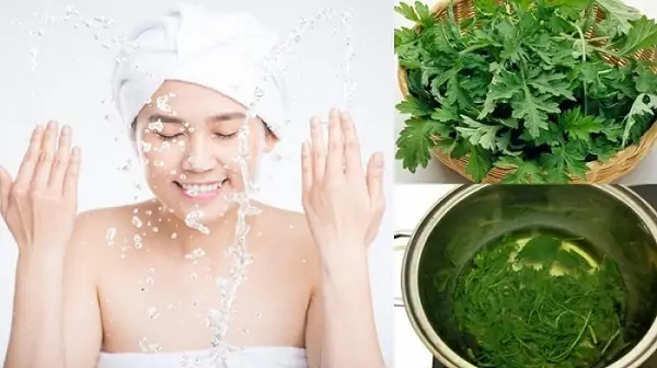 7. Ngải cứu 7. Ngải cứu