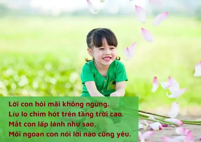 2.4 Con và biển
