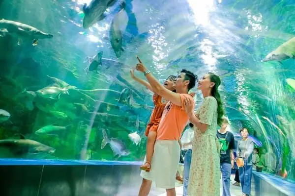 3. Thủy cung Times City