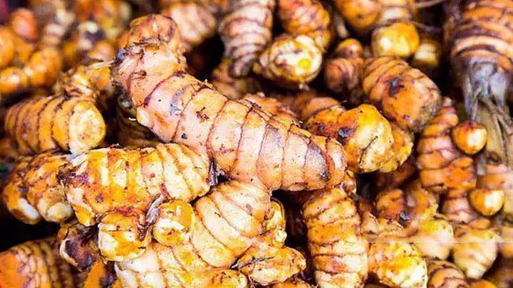 Bảo quản nghệ tươi được lâu