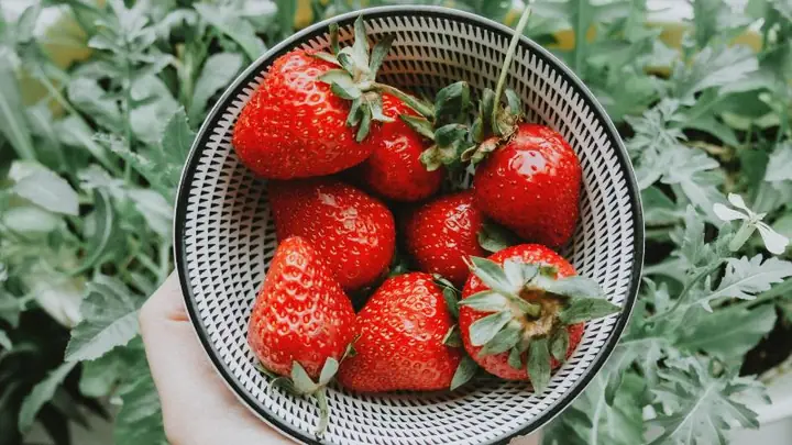 1Công dụng của dâu tây với phụ nữ sau sinh