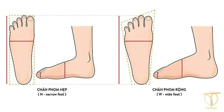 1. Bảng size giày US là gì?