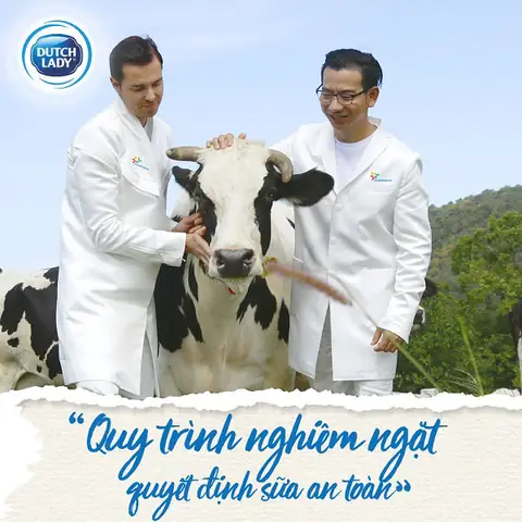 Sá»¯a bá»t nguyÃªn kem CÃ´ GÃ¡i HÃ  Lan lon 850g