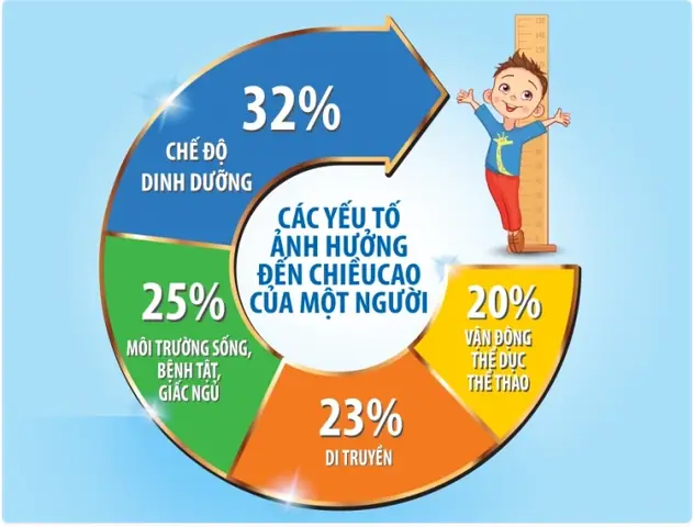 Các yếu tố ảnh hưởng đến chiều cao của bé