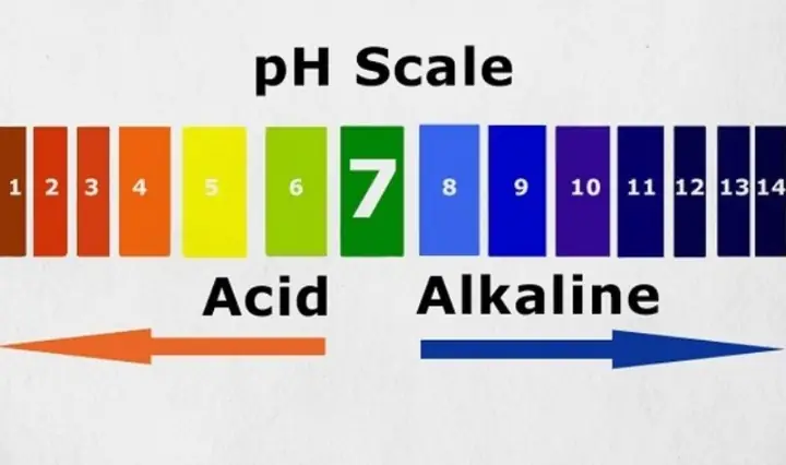 3Cách nhận biết độ pH của sữa rửa mặt