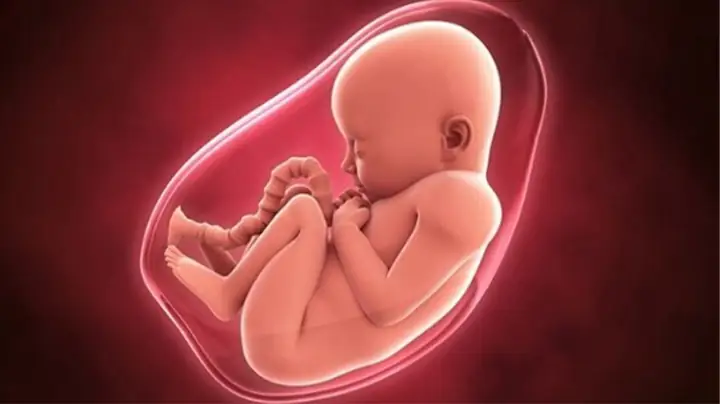 1Mẹ bầu cần bổ sung dưỡng chất gì trong 3 tháng đầu?