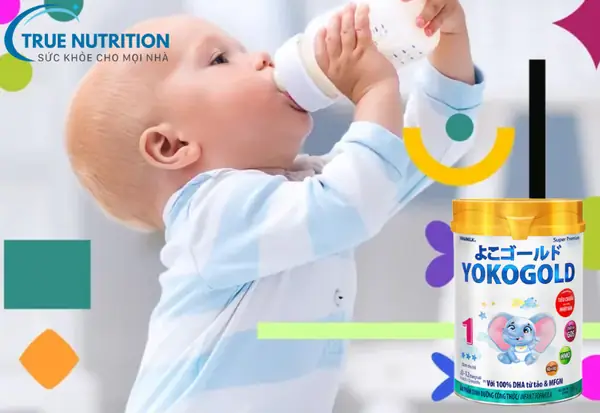 So Sánh Sữa Yoko Gold 1 Với Các Sản Phẩm Sữa Khác