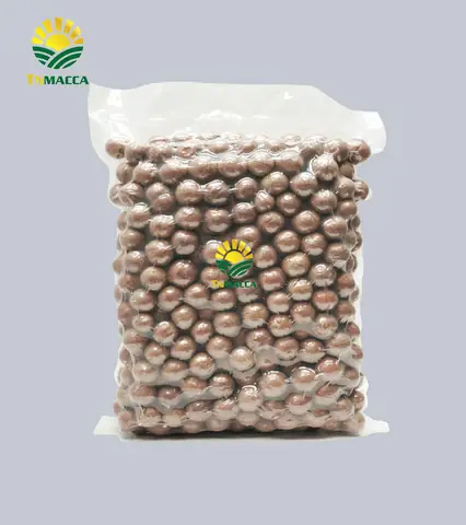 3.1 Sử dụng hạt macca ăn trực tiếp cho bà bầu