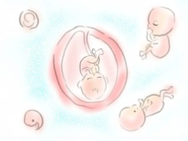 Thai 19 tuần nặng bao nhiêu gam là đủ chuẩn mẹ đã biết chưa? Ở tuần thai thứ 19, mẹ bầu đang ở tam cá nguyệt thứ 2 và cũng là giai đoạn bình yên nhất trong suốt thai kỳ.