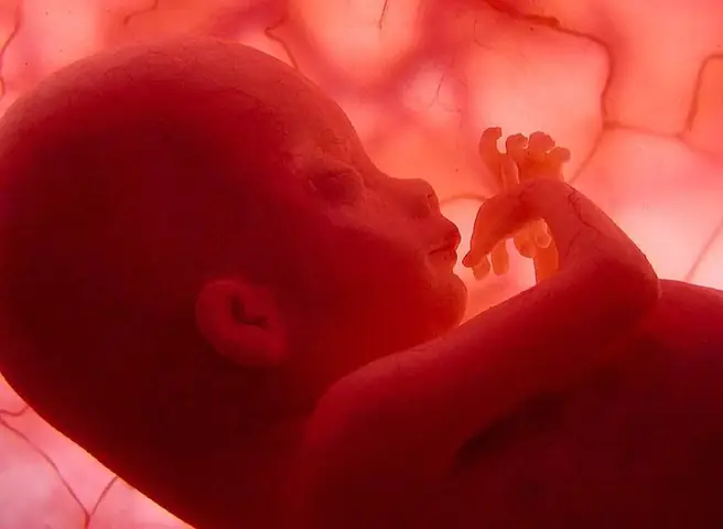 Tóc và lông mày của con bắt đầu phát triển