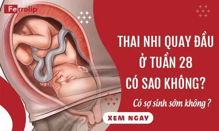 Giải đáp: Thai nhi quay đầu ở tuần 28 có sớm không?