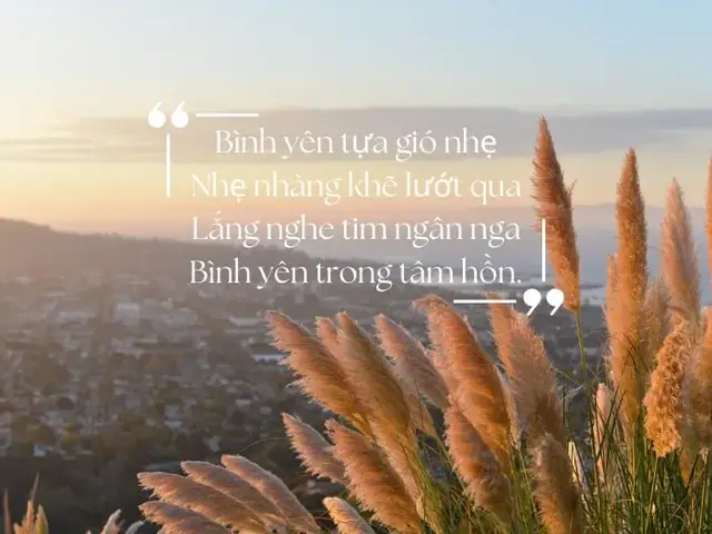 Bình yên (Tác giả: Bình Yên Cho Em)