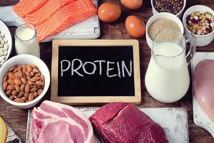 3.6 Thực phẩm giàu protein