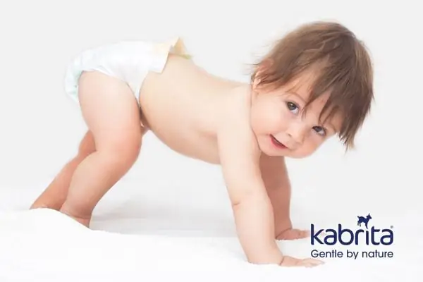 Khám phá nhu cầu dinh dưỡng của trẻ 11 tháng tuổi Khám phá nhu cầu dinh dưỡng của trẻ 11 tháng tuổi
