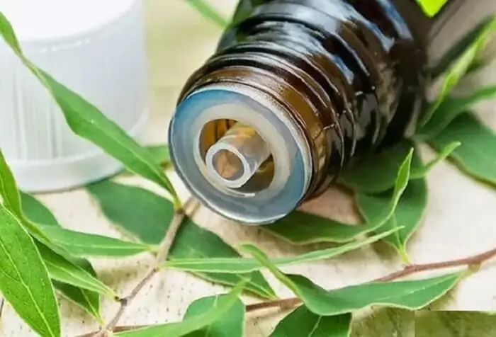Tinh dầu tràm là gì?